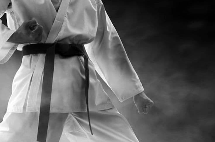 Judo training background